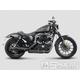 Výfuk Akrapovič Slip-On, černý - Harley Davidson Sportster XL 1200C