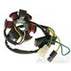Magneto / stator dobíjení pro Derbi Senda 60W