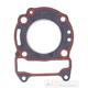 Gasket - cylinder/crankcase