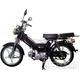 Kentoya Twin Cup 50 4T
