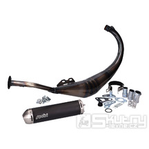 Výfuk Polini Evolution pro Aprilia RS 50, Rieju RS 2, Yamaha TZR 50 (AM6)