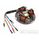 Stator alternátoru 6V pro Piaggio, Vespa GT, GTR, Super, Sprint, TR 50, 125, 150ccm