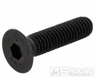 Šroub pro upevnění rozvodového kola M6X25 T.S