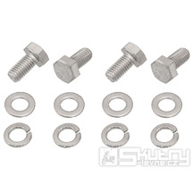 Sada šroubů Swiing Schwinge Inox pro Puch Maxi S, Supermaxi, X30 NG-2AH