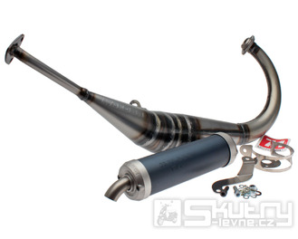 Výfuk Malossi MHR Replica pro Aprilia RS4 50 2T LC D50B 2012– Euro2–
