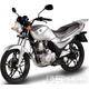 SYM XS 125