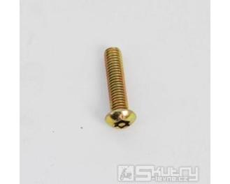 Šroub torx T25 6x25