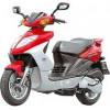 Shark RS 50 2T AC 99-03 E1 [BS05W-6]