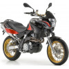 Pegaso 125ccm 2T LC (Rotax 122-123)
