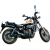 Red Rose 125ccm 2T LC (Rotax 122,123, 127)