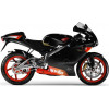 RS 125ccm 2T LC (Rotax 122-123)