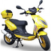 Tria 50