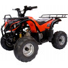 ATV 110ccm Minitraper