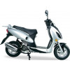 Dolphin 125