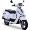 Vendetta 50 2T