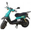 Squab 50 S1A03