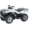 TRX 250 FourTrax Recon