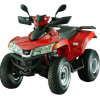 Quad Lander 250 06-10 E3 [UA25A1]