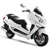 Roar 4 150 ZN150T-39C