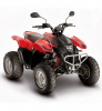 Oregon 250 4T 4V LC 07-10 [RGEYN25D5]