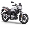 STX 150 4T 14- [LBMSTX10]