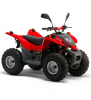 DXR Quad 250 2V 05- [VTHSM1A1A]