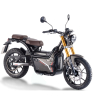 Nuuk E-Motorrad (Electric)