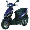 Capriolo 50 [QM50QT-6A]
