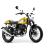 Dirt Track 50 4T AC 18-20 E4