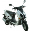 Dolphin 50