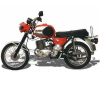 TS 250