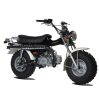 ST 125 T-Rex 09-17 E3