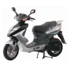 Shark RS 50 2T AC 03-09 E2 [BS05W1-6]
