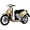 Torpedo 50 4T 2V (Piaggio Motor)