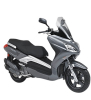 X-Large 300 ie 4T LC 11-17 E3