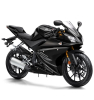 YZF-R 125 17-18 [RS291/ BR6]
