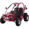 Bugrider 250