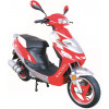 Coliber Rex 50