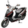 Koyot 50