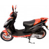 Gallus 50