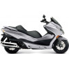 Forza 250i NSS250 4T 2V 05-13 [MF08]