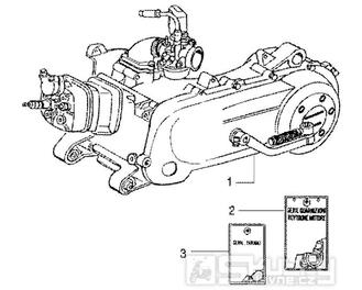 T1 Motor - Gilera DNA GP Experience 50ccm 2T 1998-2005  (ZAPC27000...)