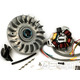 Zapalování BGM PRO HP V4.0 DC s CDI pro Lambretta GP, DL